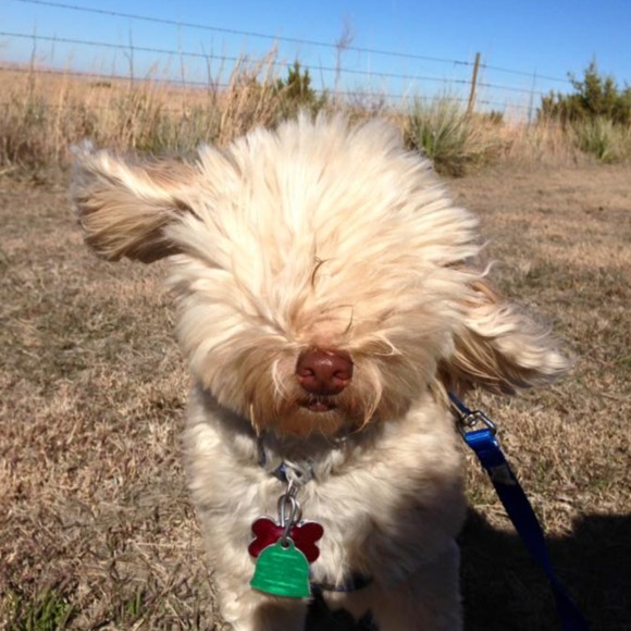 Meet your Posher, Erinjoy - Picture 1 of 1